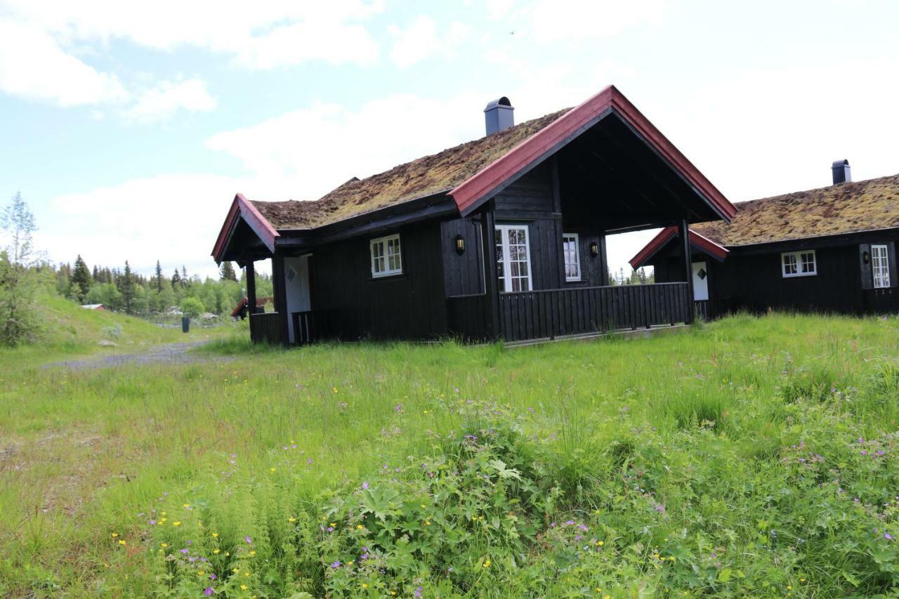 Gamlestolen Fjellstue Villa Etnedal Ngoại thất bức ảnh